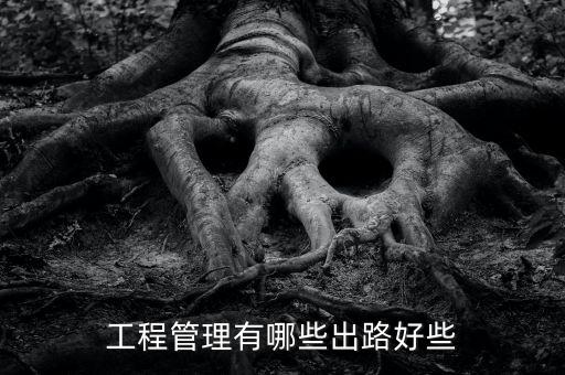 工程管理最好的出路，工程管理专业未来出路