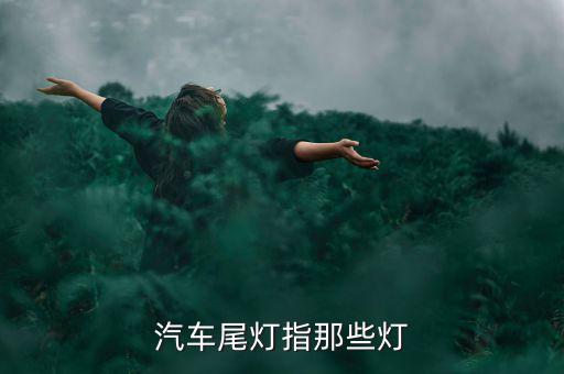 汽车尾灯指那些灯