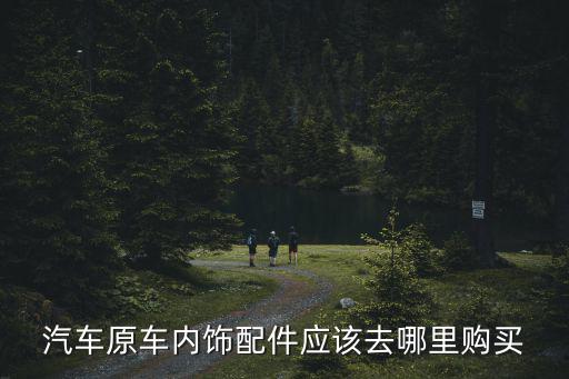 汽车原车内饰配件应该去哪里购买