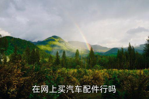 在网上买汽车配件行吗
