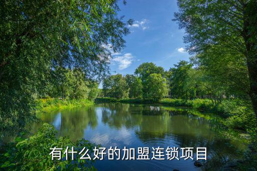有什么好的加盟连锁项目