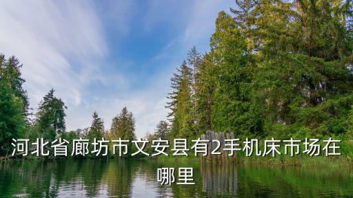 河北省廊坊市文安县有2手机床市场在哪里