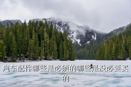 汽车配件哪些是必须的哪些是没必要买的