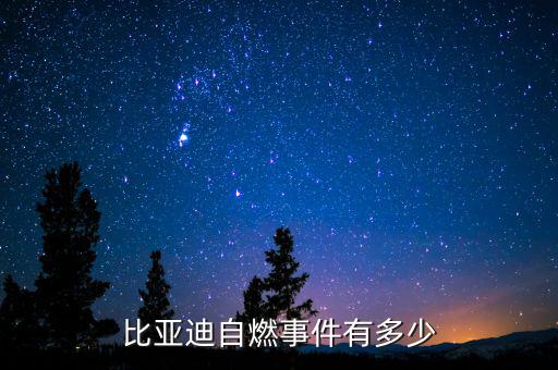 比亚迪自燃事件有多少