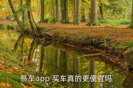 易车app 买车真的更便宜吗