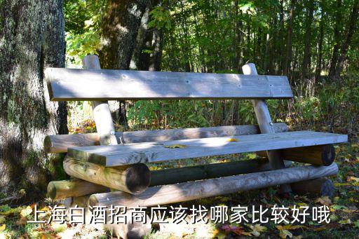 上海白酒招商应该找哪家比较好哦