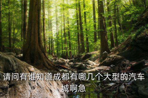 请问有谁知道成都有哪几个大型的汽车城啊急