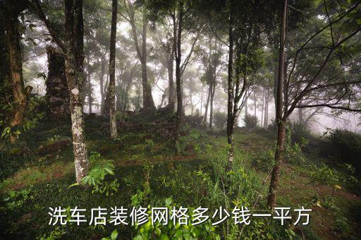 洗车店装修网格多少钱一平方