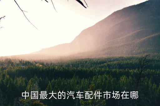 中国最大的汽车配件市场在哪