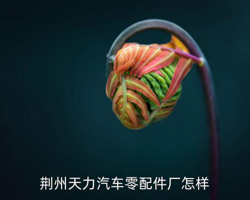 荆州天力汽车零配件厂怎样