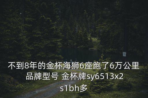 华晨金杯海狮6座报价，不到8年的金杯海狮6座跑了6万公里 品牌型号 金杯牌sy6513x2s1bh多