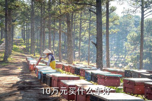 10万元买什么车好