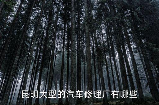 昆明口碑最好的修车行，昆明大型的汽车修理厂有哪些