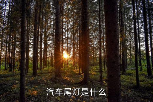 汽车尾灯是什么