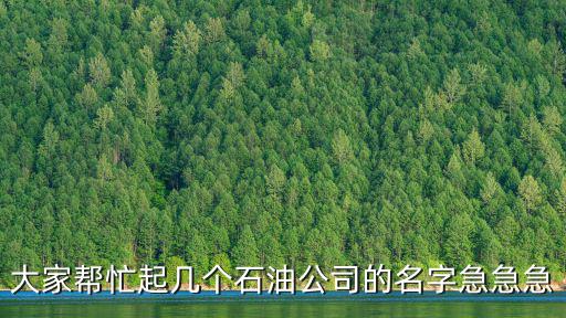 大家帮忙起几个石油公司的名字急急急