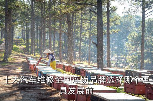 十大汽车维修全国连锁品牌选择哪个更具发展前