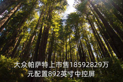 大众帕萨特上市售18592829万元配置892英寸中控屏