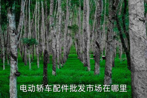 电动轿车配件批发市场在哪里