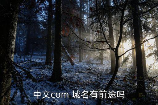 中文com 域名有前途吗