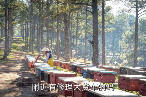 附近有修理大货车的吗