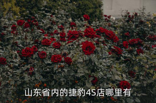 山东省内的捷豹4S店哪里有