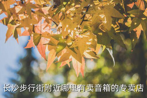 长沙步行街附近哪里有卖音箱的专卖店