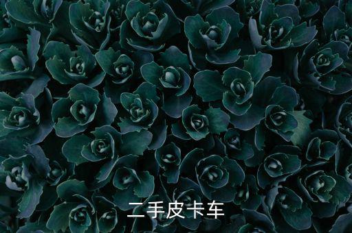 二手皮卡车
