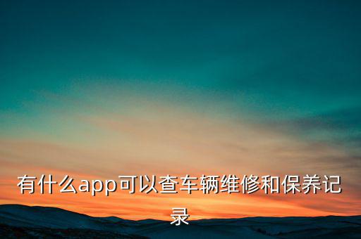 有什么app可以查车辆维修和保养记录