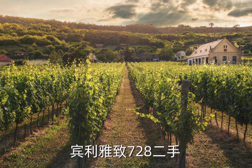 宾利雅致728多少钱一辆，宾利雅致728二手