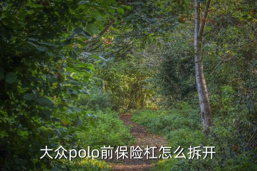 大众polo前保险杠怎么拆开
