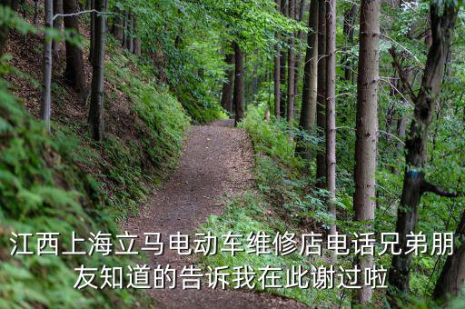 江西上海立马电动车维修店电话兄弟朋友知道的告诉我在此谢过啦