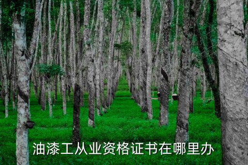 汽车油漆工资格证书哪里考，汽车维修漆工在什么地方考证