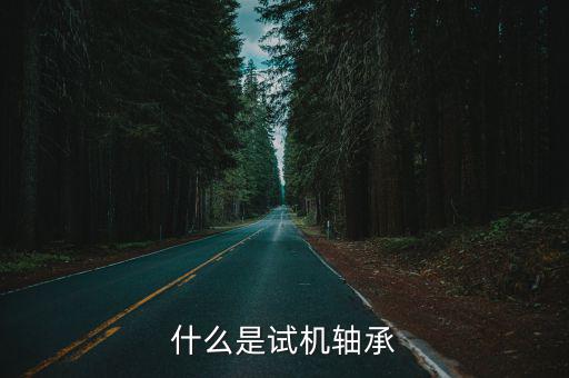 什么是试机轴承