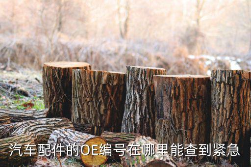汽车配件的OE编号在哪里能查到紧急