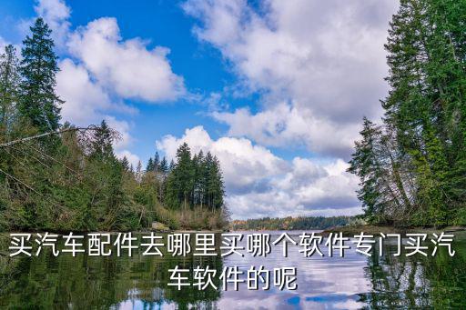 买汽车配件去哪里买哪个软件专门买汽车软件的呢