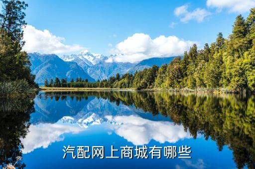 汽配网上商城有哪些