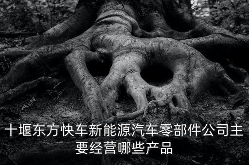 十堰东方快车新能源汽车零部件公司主要经营哪些产品