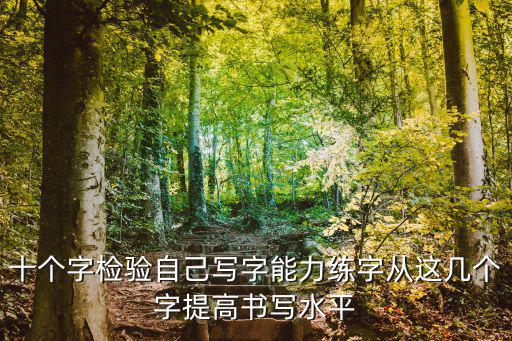 十个字检验自己写字能力练字从这几个字提高书写水平