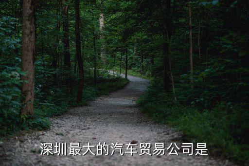 深圳最大的汽车贸易公司是