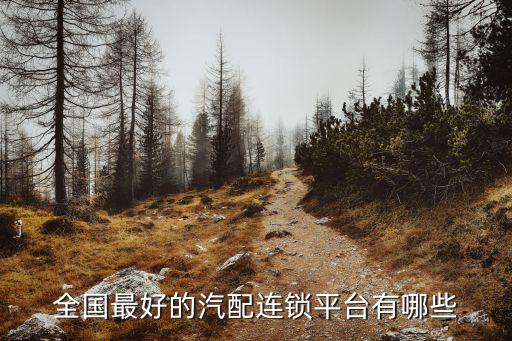 全国最好的汽配连锁平台有哪些