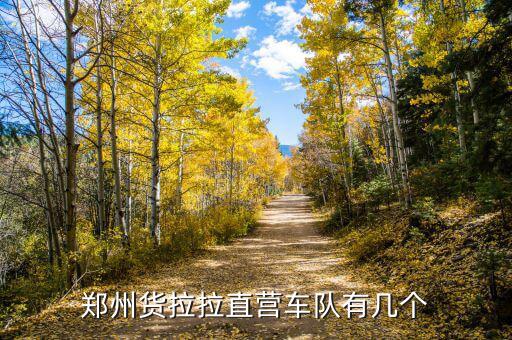 郑州货拉拉直营车队有几个