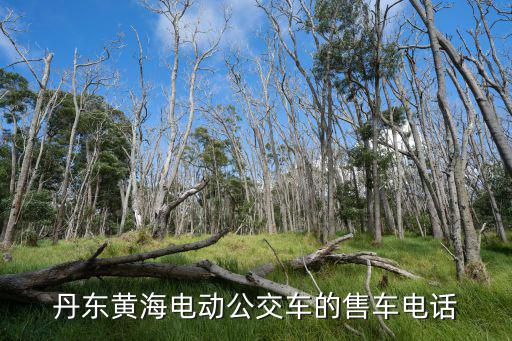 丹东黄海电动公交车的售车电话