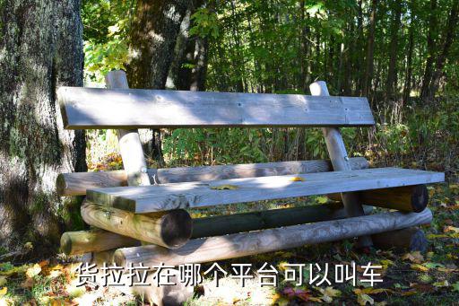 货拉拉在哪个平台可以叫车