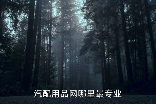 汽配用品网哪里最专业