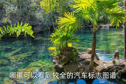 标志图片，哪里可以看到较全的汽车标志图谱