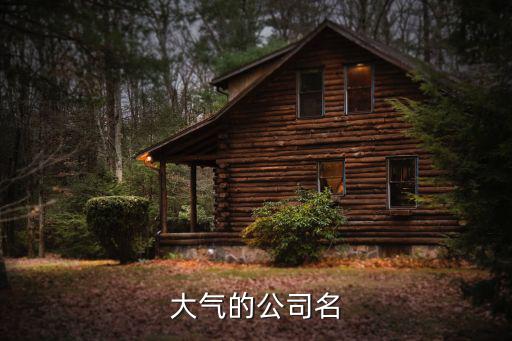 大气的公司名