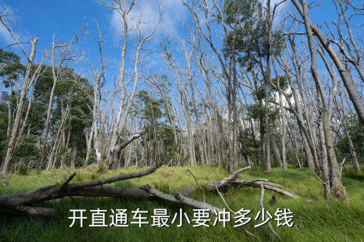 直通车首次必须充多少钱，请问淘宝开通直通车首次充值没多少资金能充值200元吗