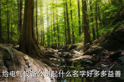 给电气设备公司起什么名字好多多益善