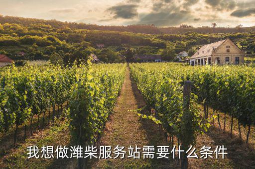 我想做潍柴服务站需要什么条件