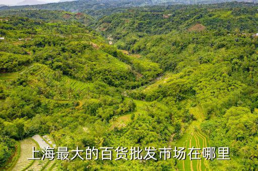 上海最大的百货批发市场在哪里
